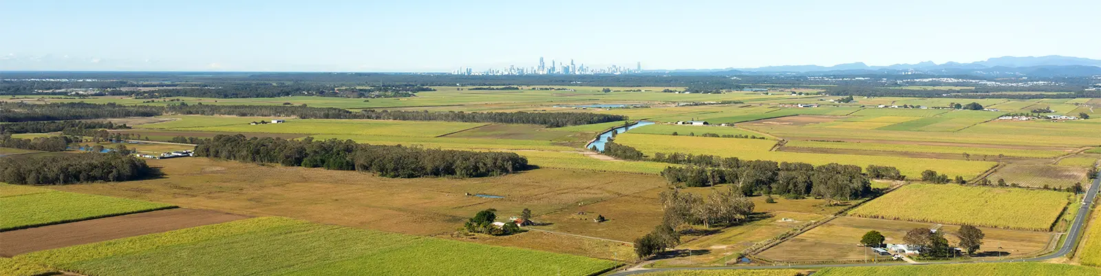 Reimagining the future of Norwell Valley Canelands